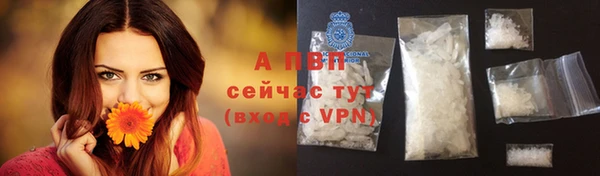 тгк Алексин