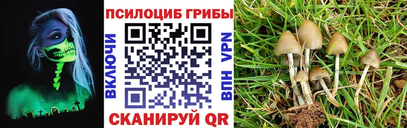 Псилоцибиновые грибы Cubensis  Купить  Туапсе 